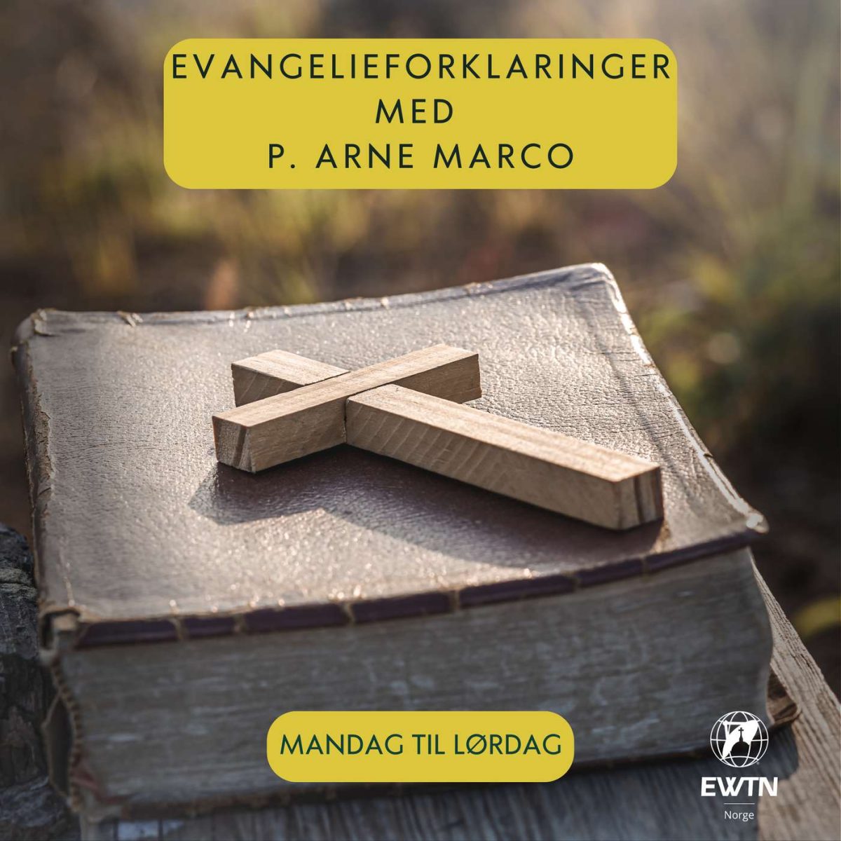 Evangelieforklaringer med pater Arne Marco Podcast Cover