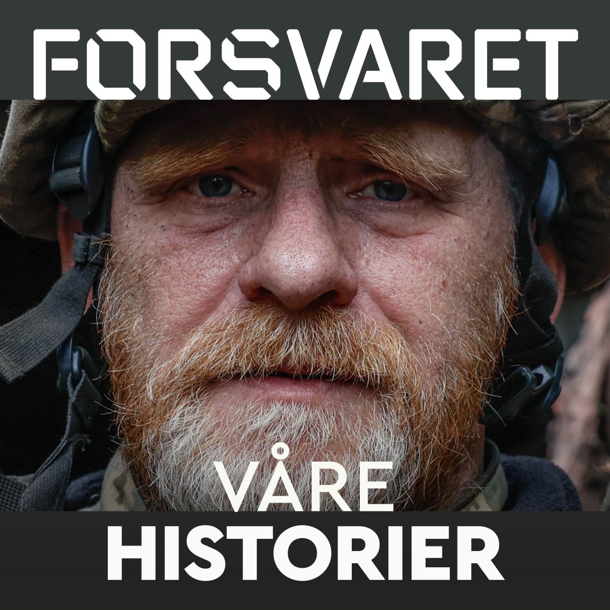 Våre historier